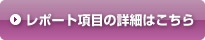 レポート項目の詳細はこちら